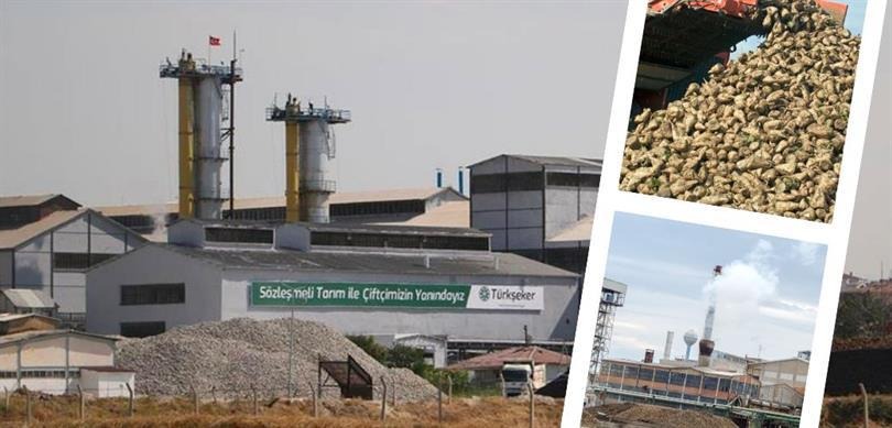 Şeker pancarı alım fiyatı belli oldu