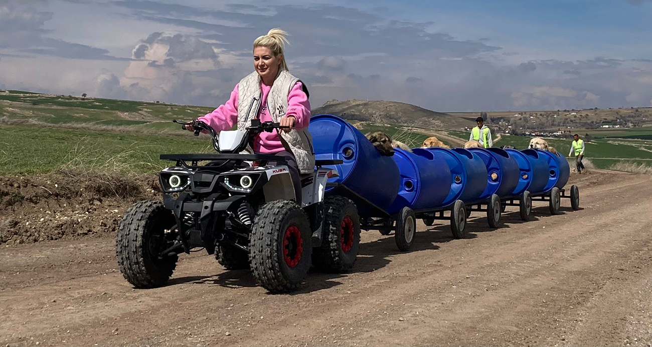 Sokak hayvanları için topladığı bağışlarla at yarışı oynamış