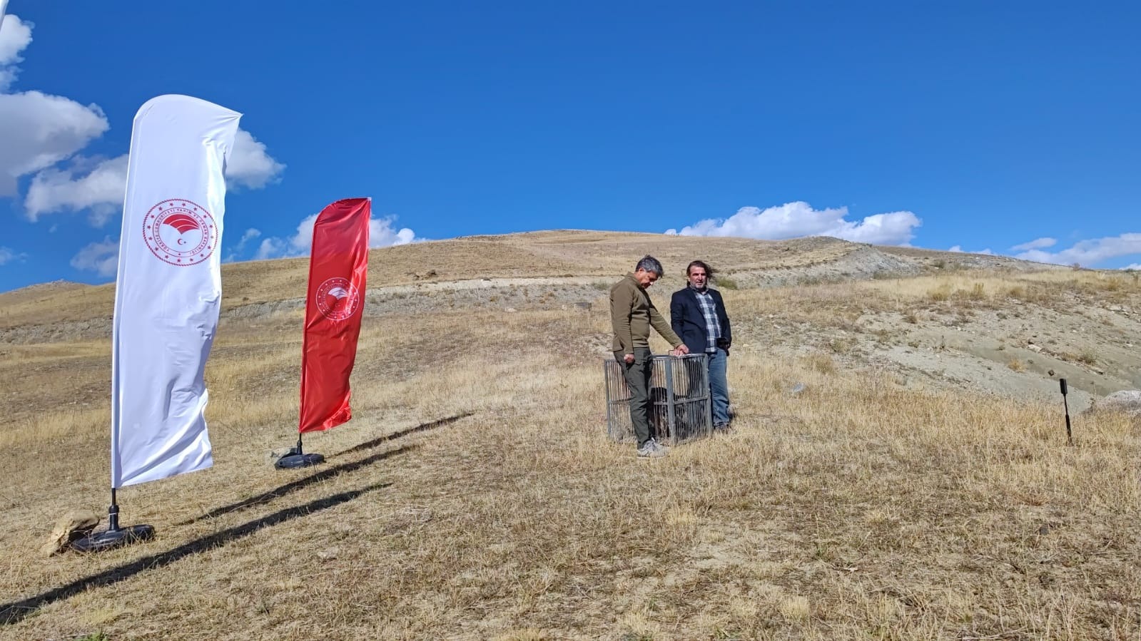 Van’da tedavi edilen yaban kuşlar özgürlüklerine kavuştu  