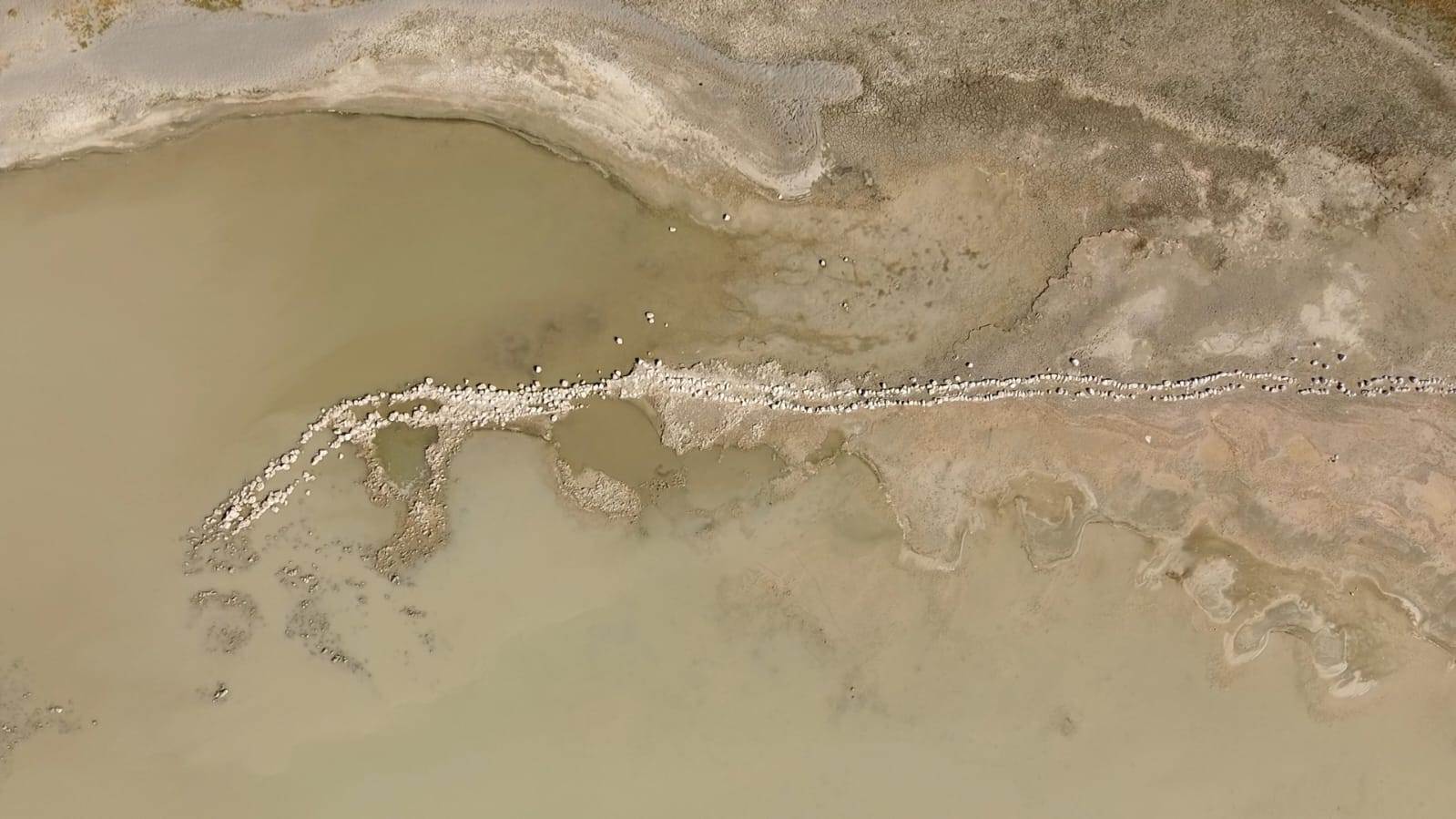 Arin Gölü hayvanların otlak alanına dönüştü