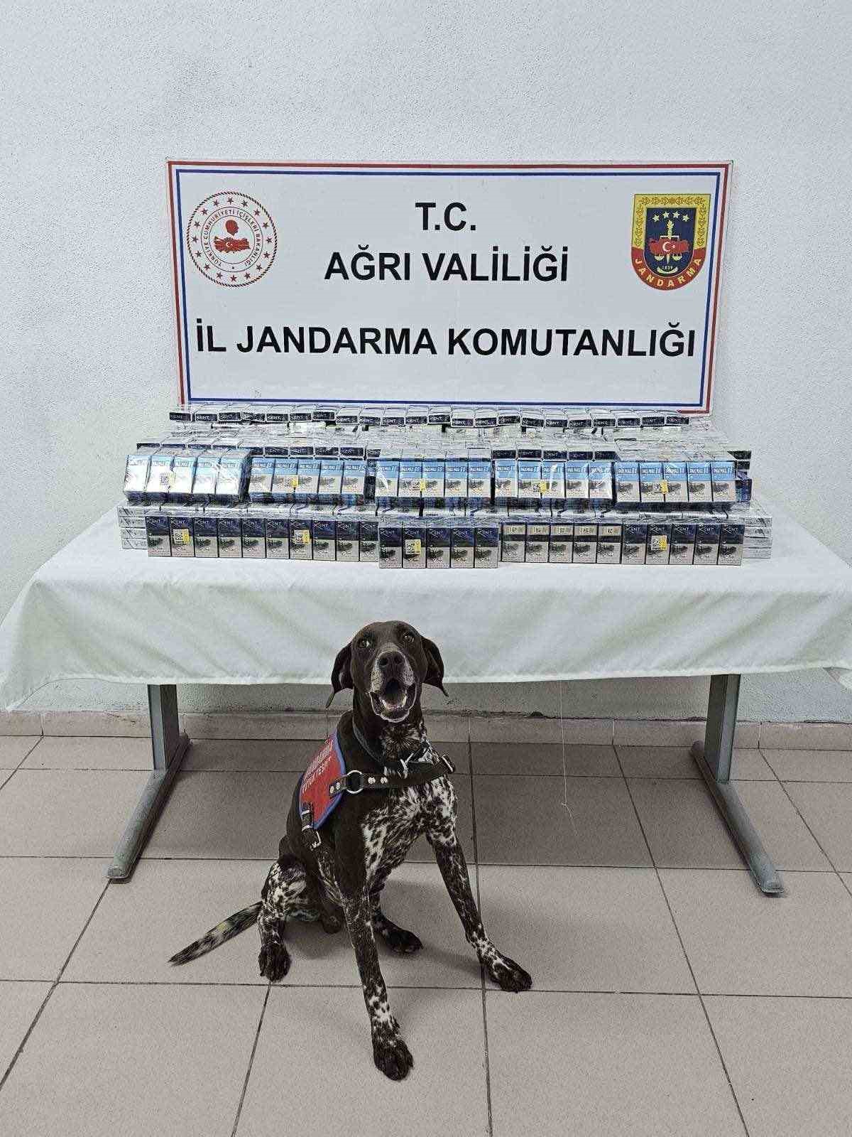 Bir araçta yapılan aramada binlerce paket kaçak sigara ele geçirildi