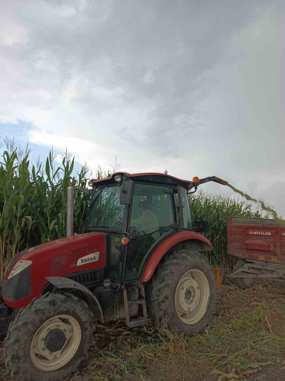 Çiftçilerin  silajlık mısır hasadı başladı