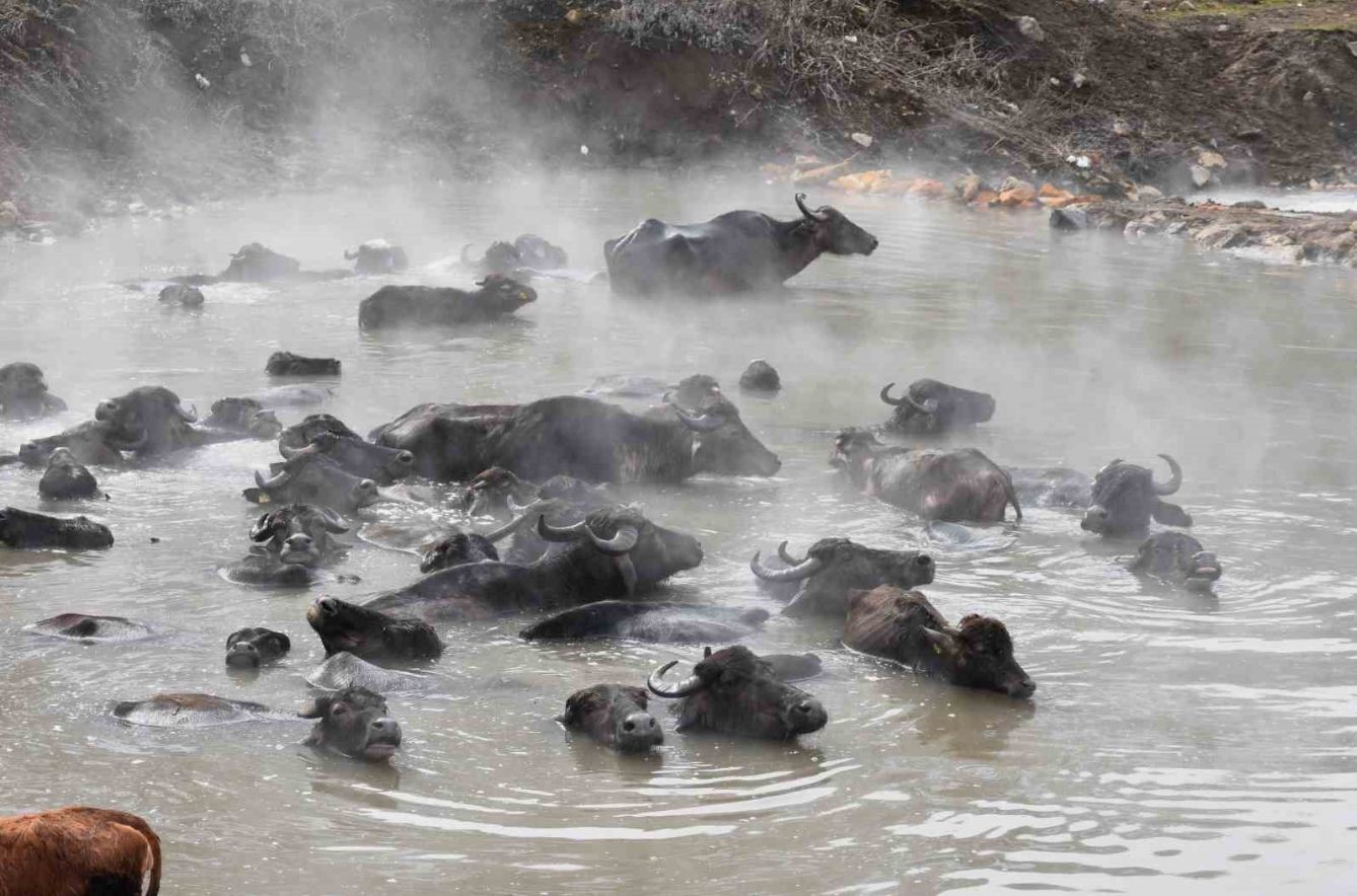 ‘Madak’ belgeseline 8 ödül