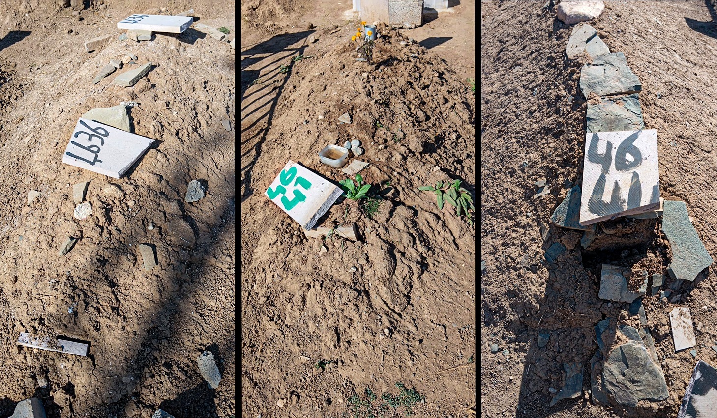 Van’da onlarca mezar tahrip edildi