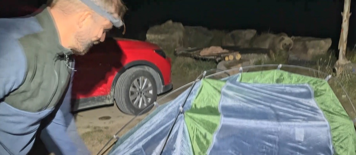 Polonyalı turiste  ayı saldırısı