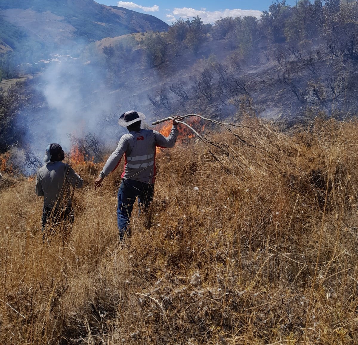 Tunceli’de çıkan yangın ormanlık alana sıçramadan söndürüldü