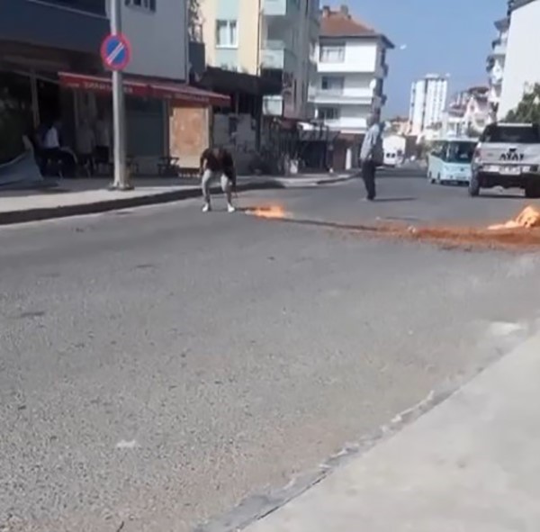 İstediği fiyatı alamayan şahıs fındığını sokak ortasında yaktı