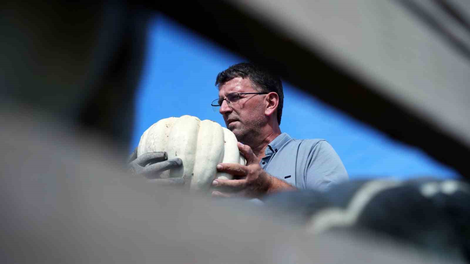 Coğrafi işaretli kabağın tarladan sofraya yolculuğu başladı