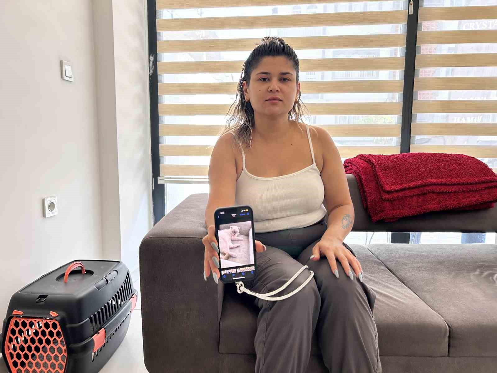Beslediği Pamuk’u bulana ödül verecek