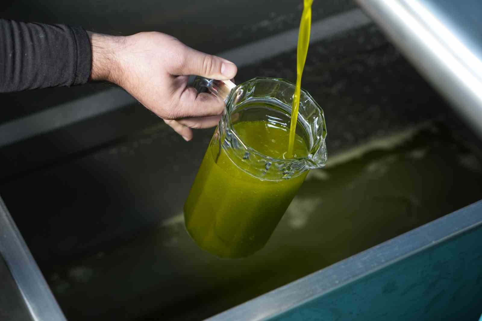 “Zeytinyağı pahalı olmayı hak eder”