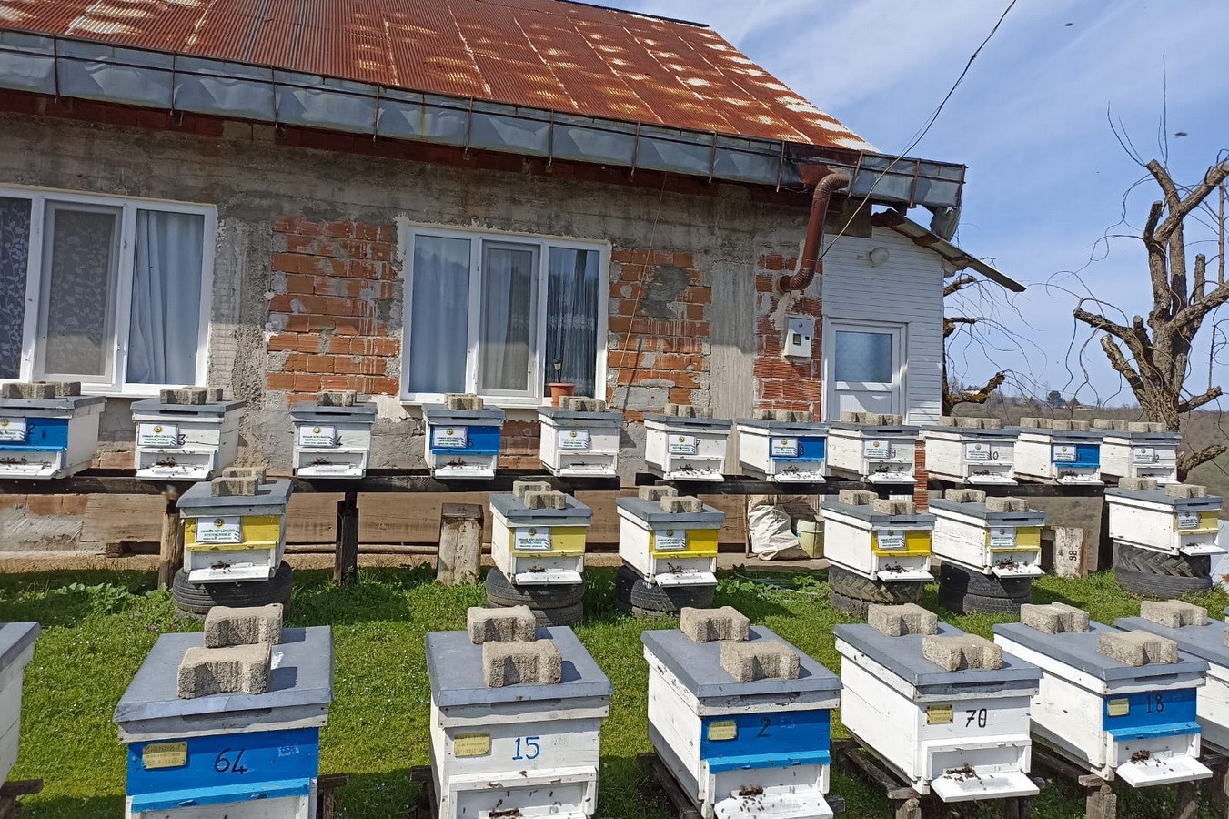 Köylülere 7 milyon 205 bin TL destek