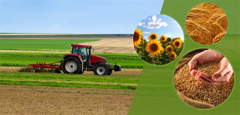 Çiftçilere 149 milyon liralık tarımsal destekleme ödemesi yapılacak