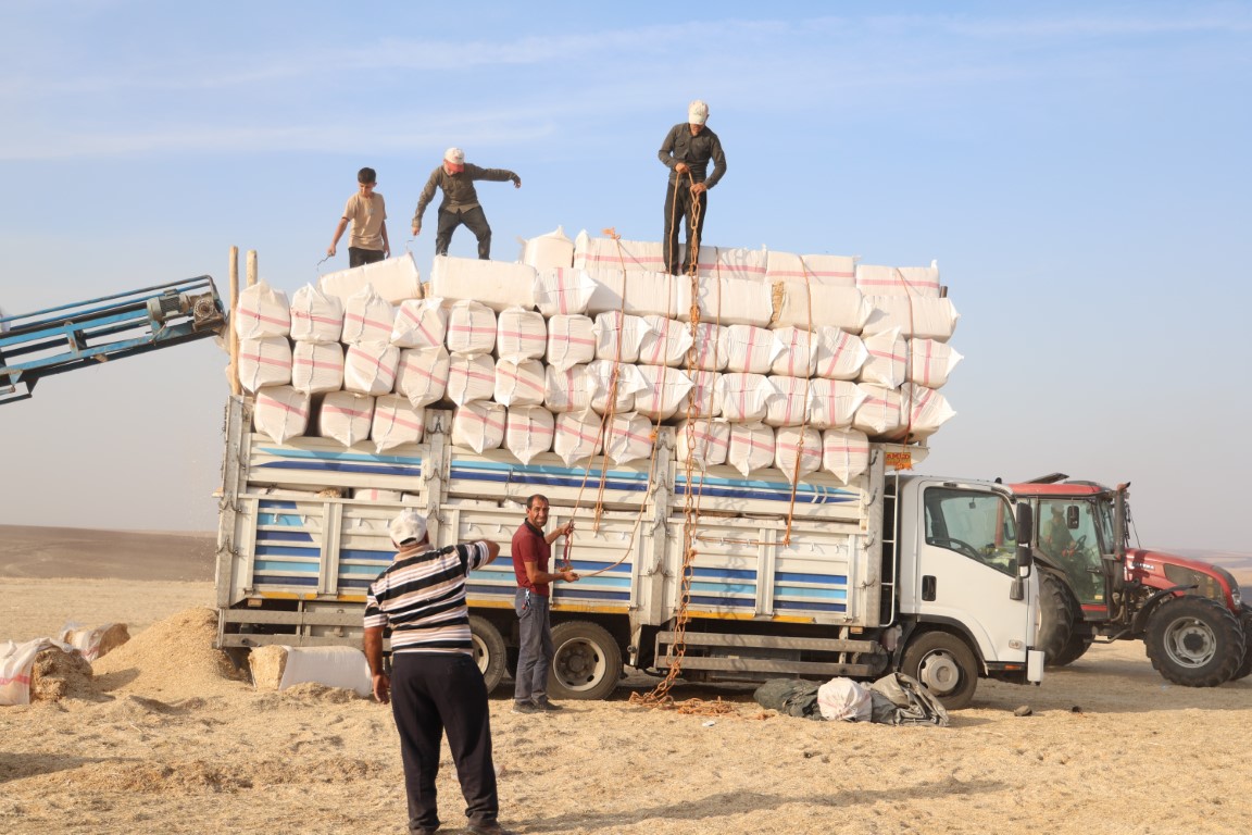 Günlük 3 bin liraya saman presliyorlar