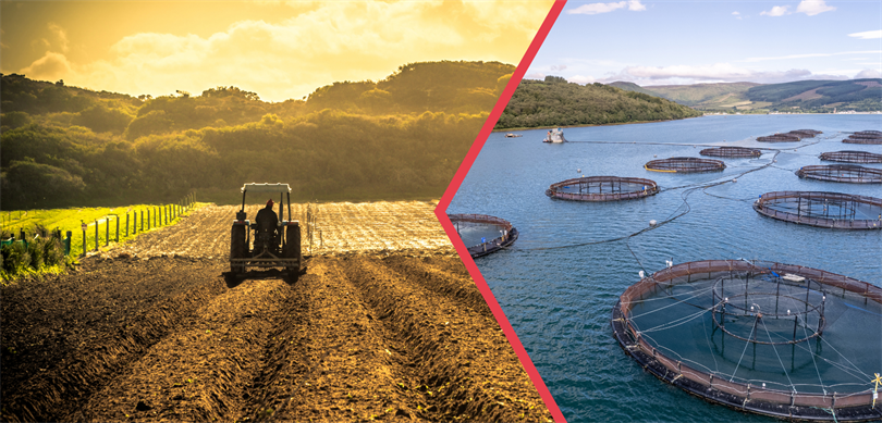 IPARD III Programı kapsamında 211 projeye 1,9 milyar lira hibe sağlanacak