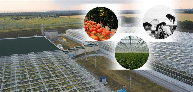 Organize tarım bölgeleri için yatırım rehberi hazırlandı