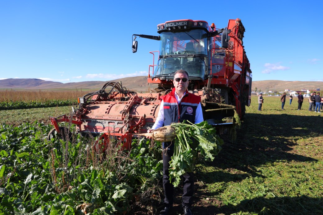Şeker pancarı üreticilerine iyi haber  250 bin tonun üzerinde rekolte bekleniyor