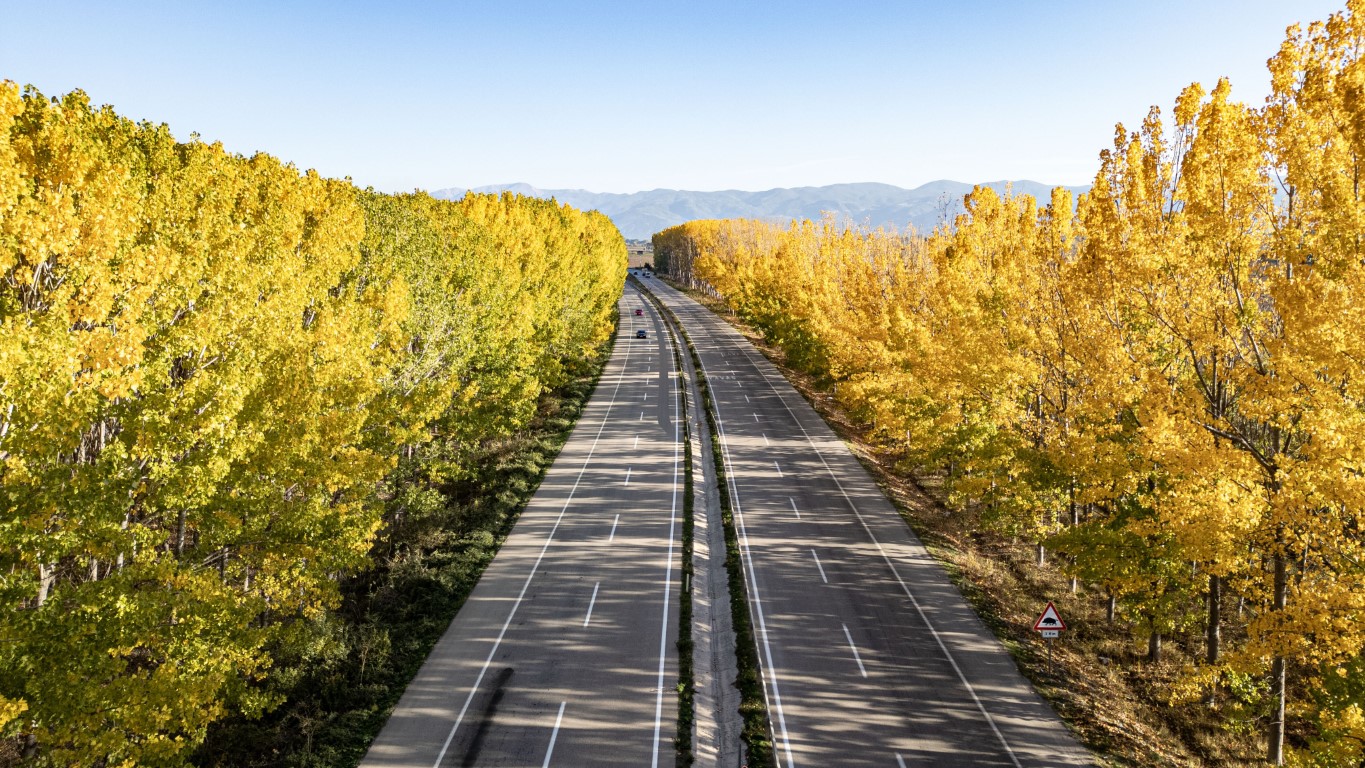Sonbaharın altın rengi sürücüleri mest ediyor (VİDEOLU)