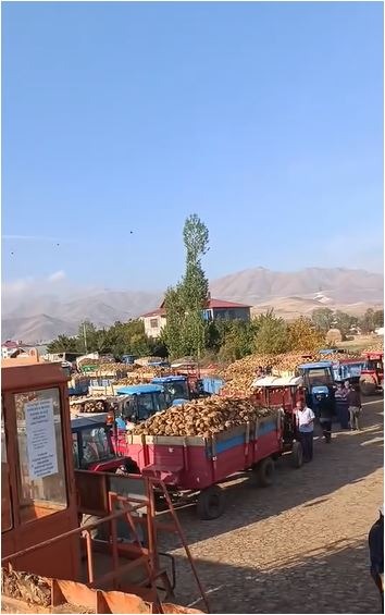 Van’da şeker pancarı üreticilerinin kantar kuyruğu çileye dönüştü