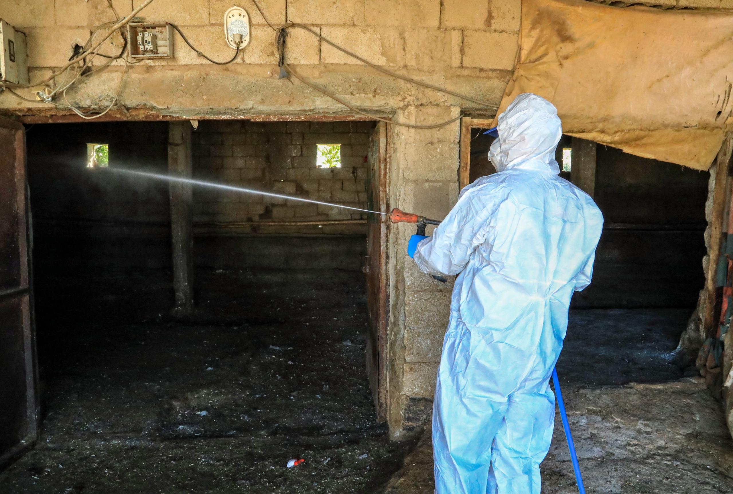 Van’ın yüzlerce mahallesindeki binlerce ahır ilaçlandı