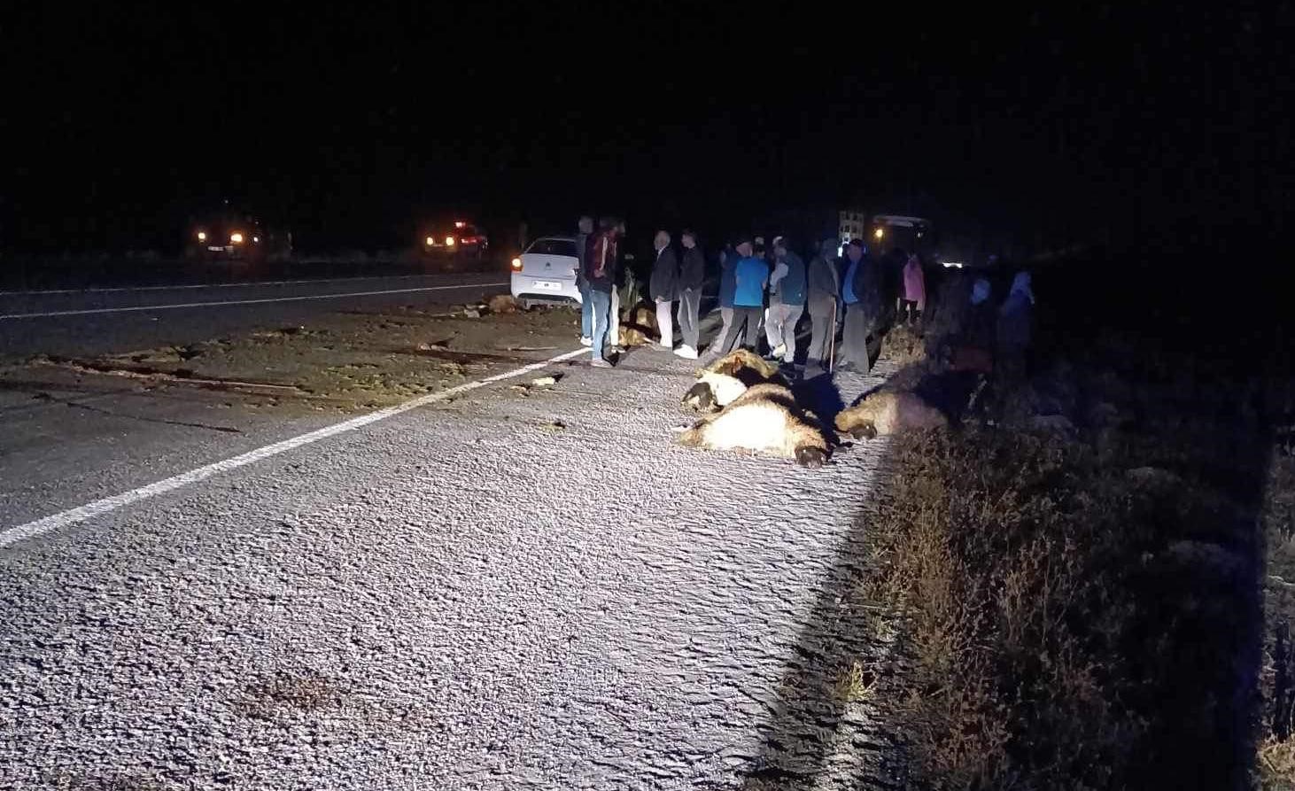 Ağrı’da 20 küçükbaş hayvan telef oldu