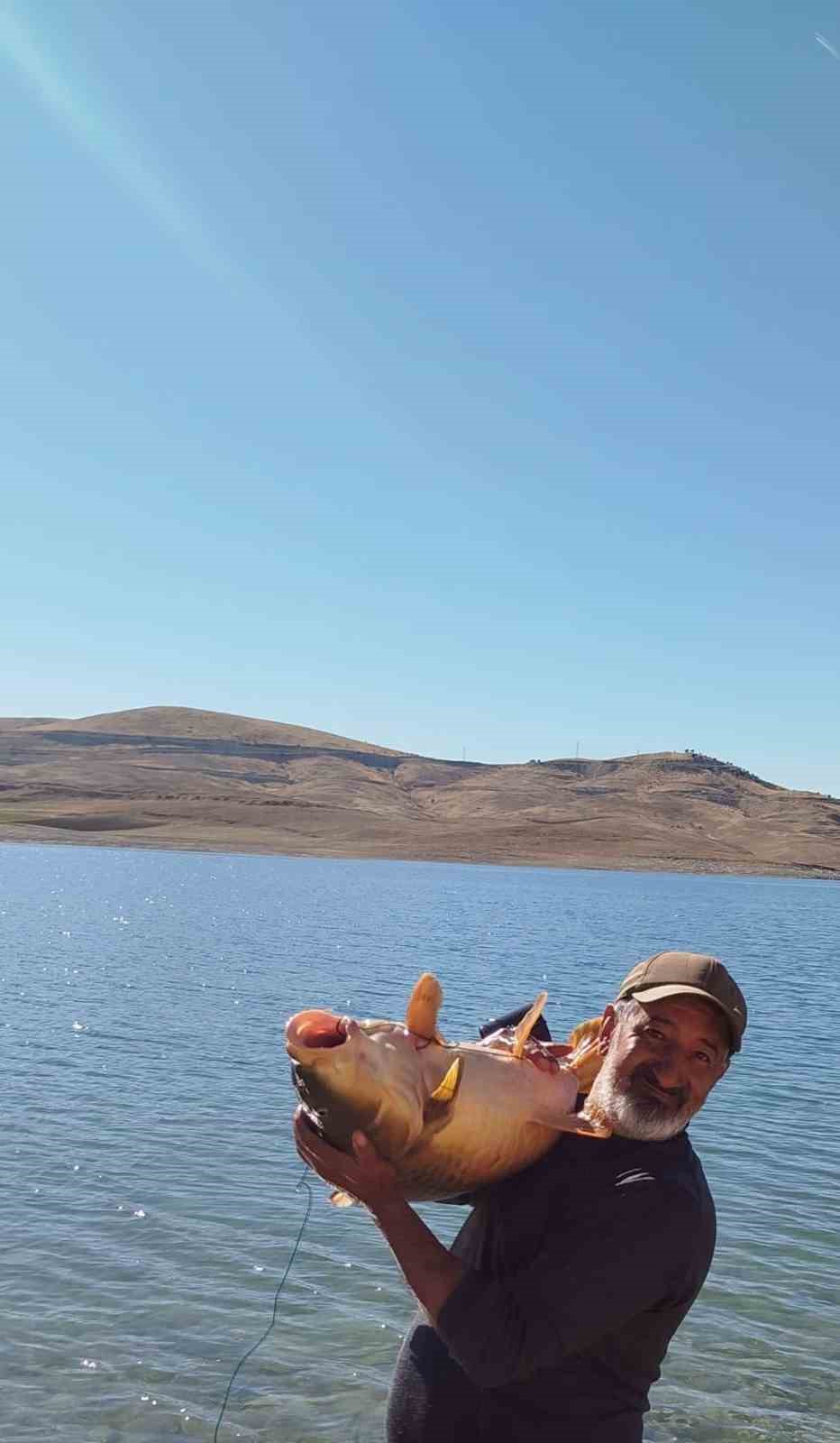 Amatör balıkçının oltasına  20 kiloluk sazan takıldı