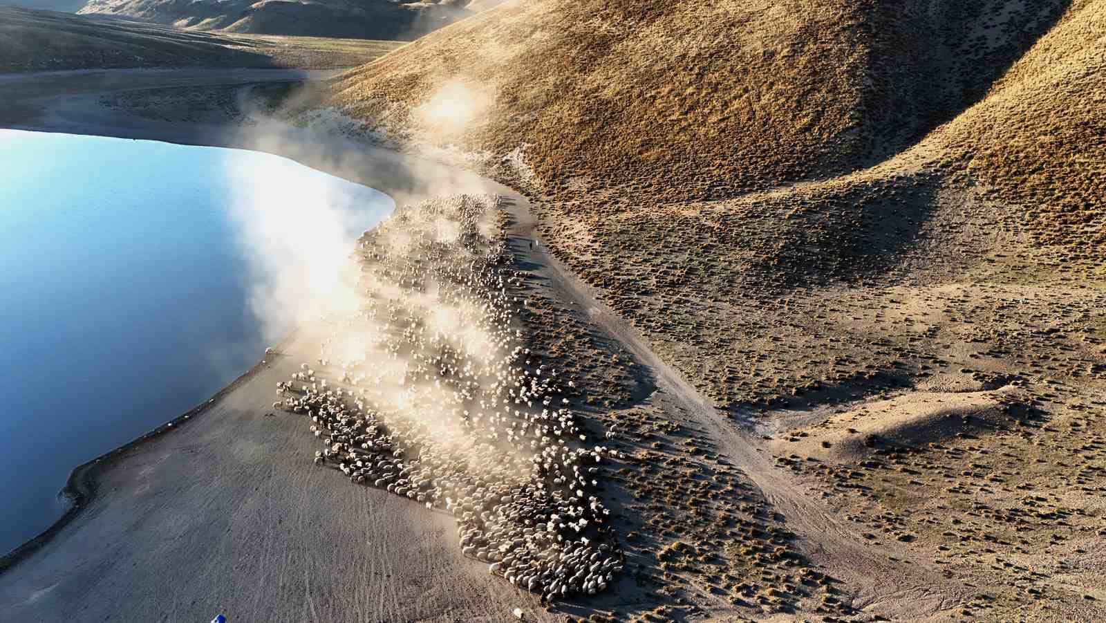 Bitlis’te sürülerin tozlu  yolculuğu ortaya kartpostallık görüntüler çıkarıyor