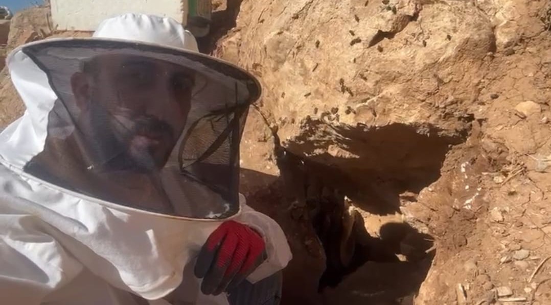 Dağ bayır dolaşarak kaya balı arıyor