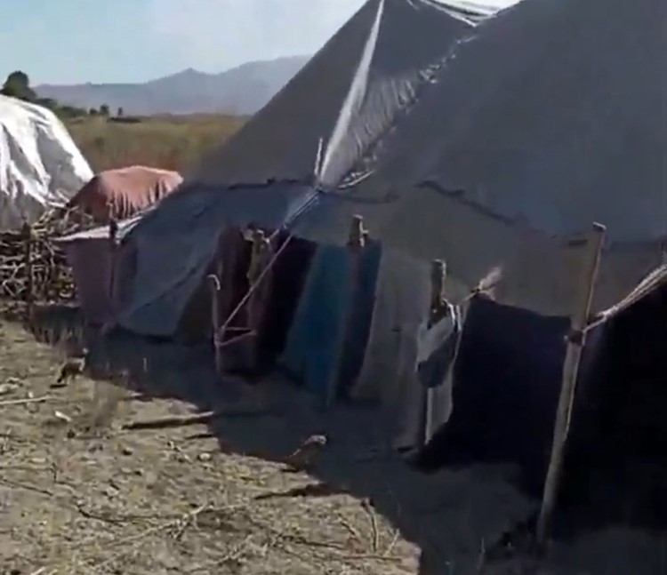 Gürpınar’da  kurduğu çadırla keklik avlayan kişiye 202 bin TL ceza