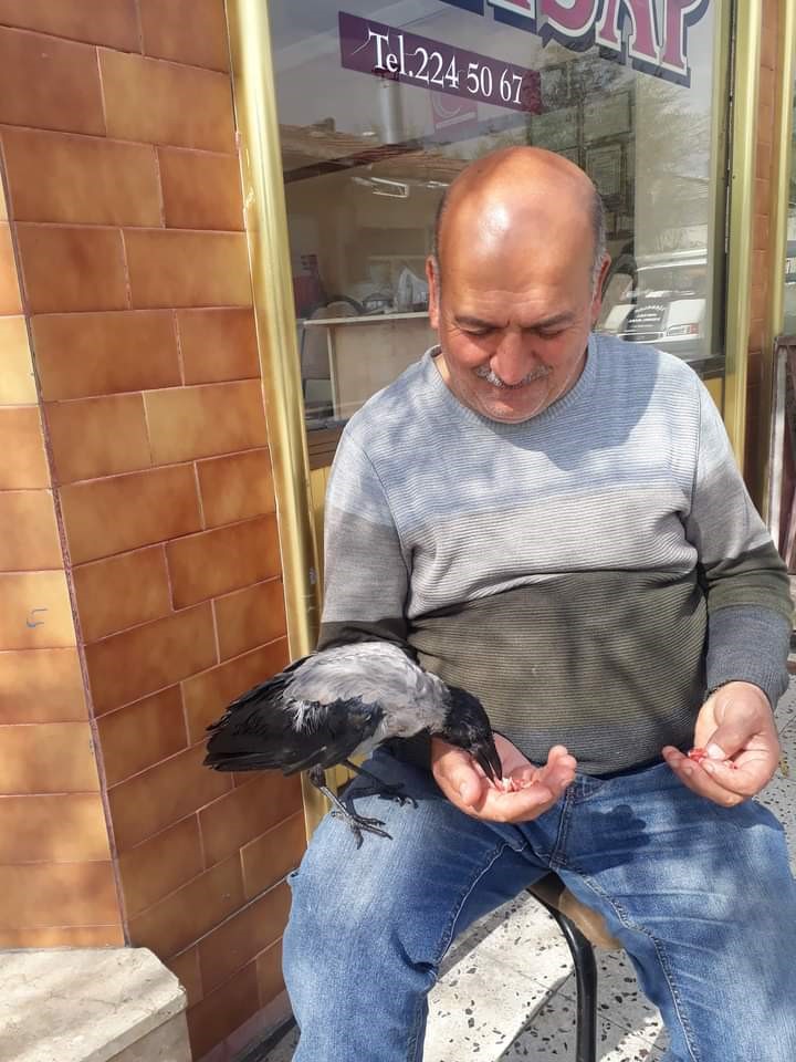 Karga ile kasabın dostluğu gülümsetti