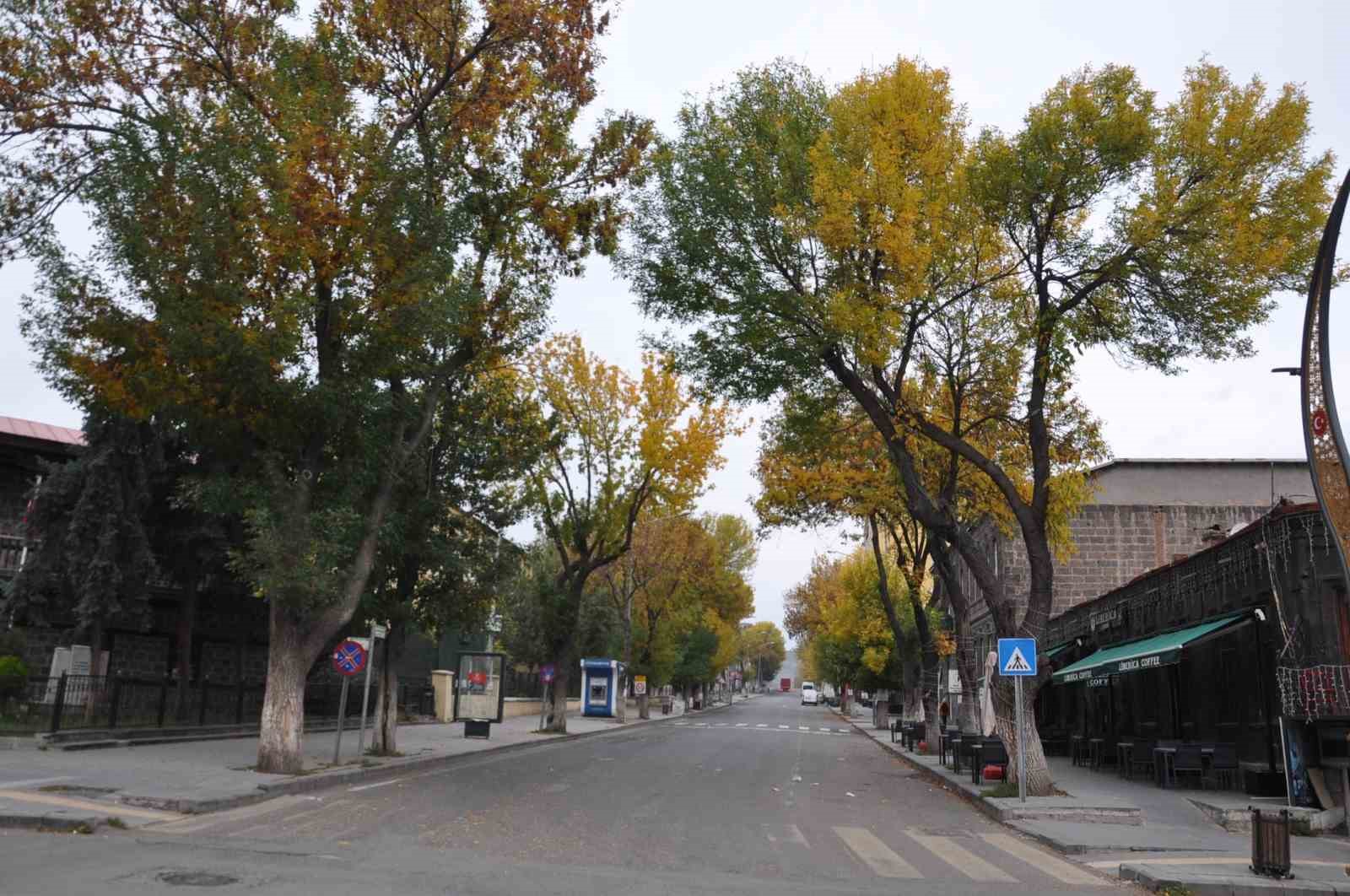 Kars’ta sonbahar güzelliği büyüledi