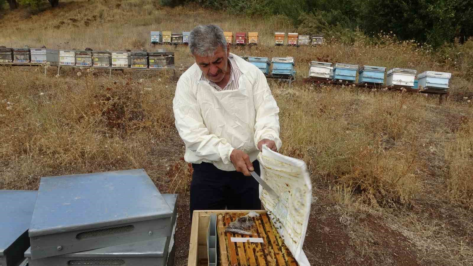 Malatya’da bal hasadı sona erdi