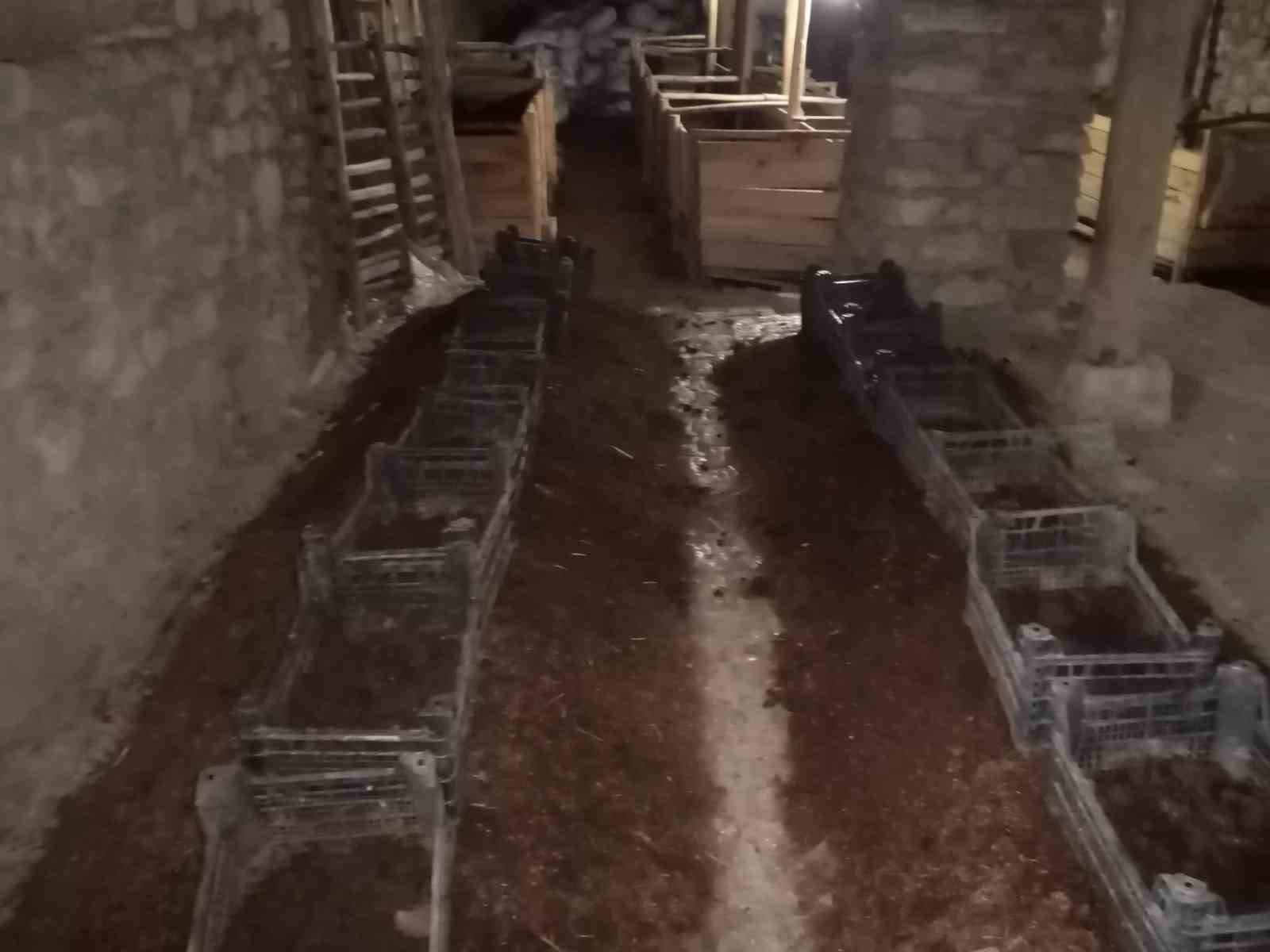 Milyonlarca solucanla organik gübre üretti