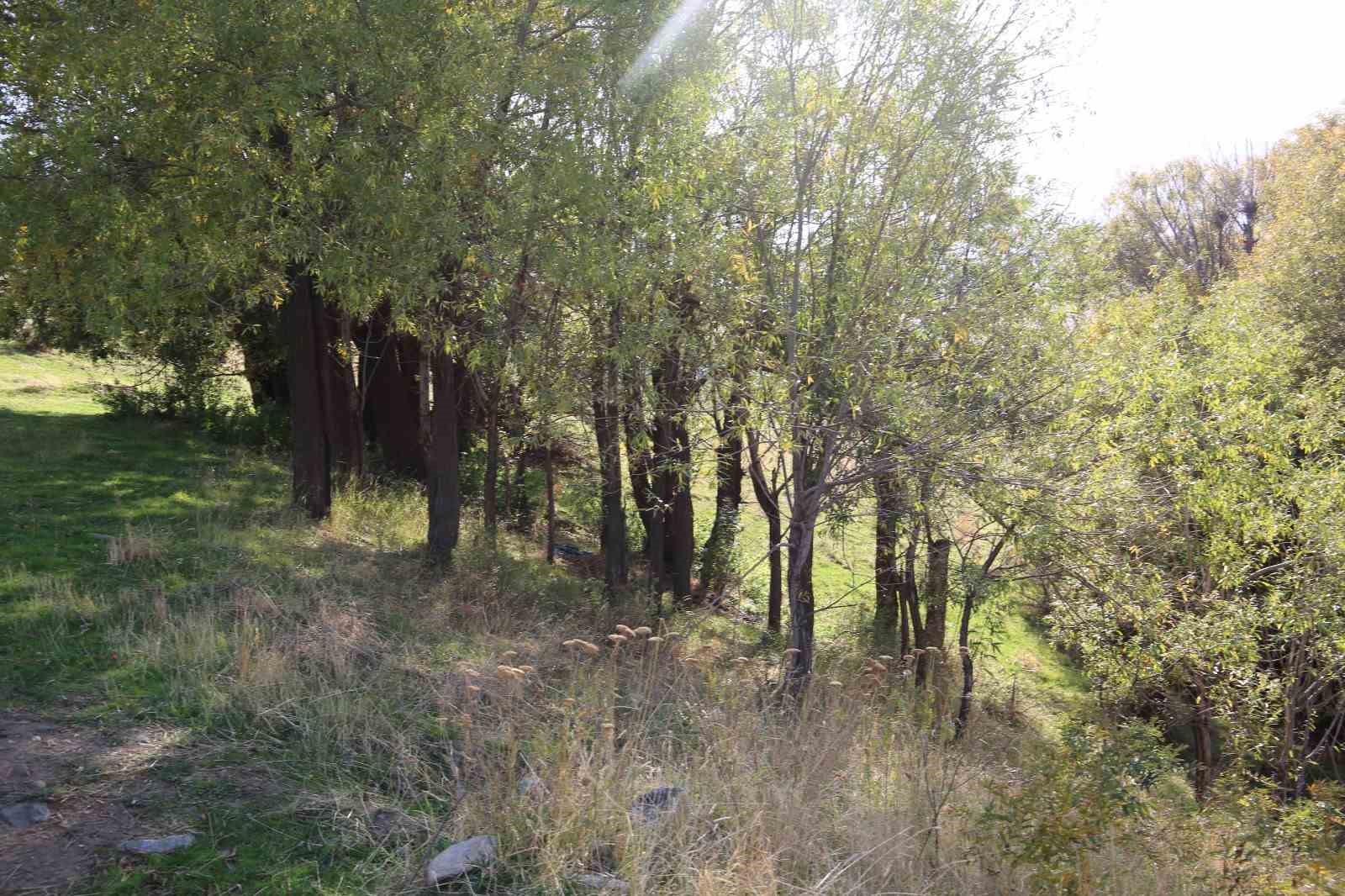 Muşlu vatandaştan jaguar gördüğü iddiası