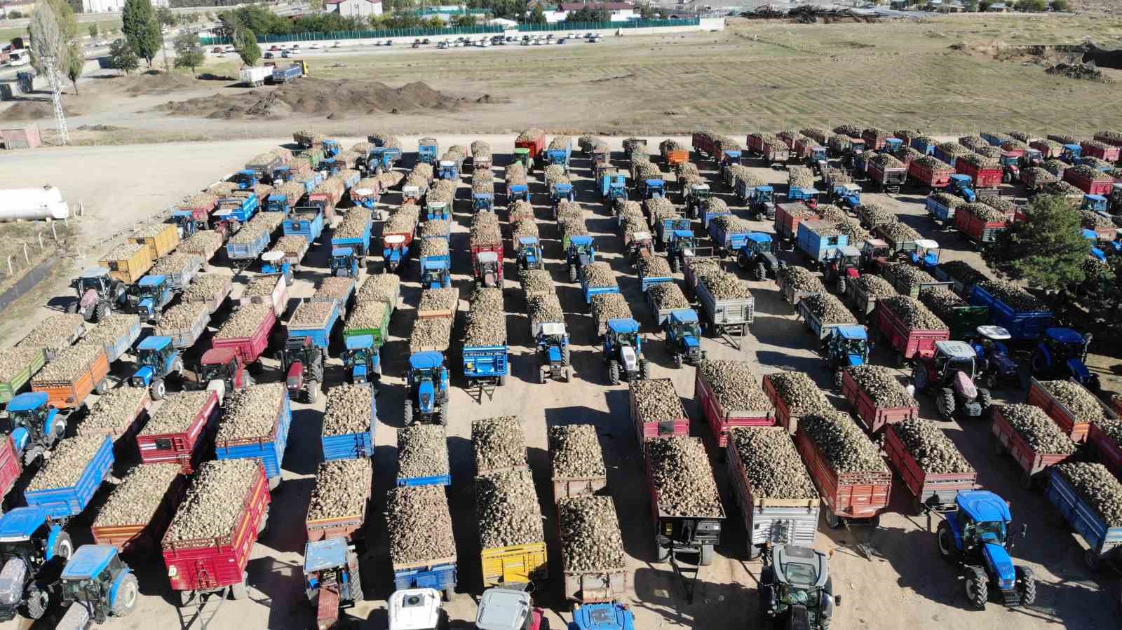 Tarladan sofraya uzanan tatlı yolculuk