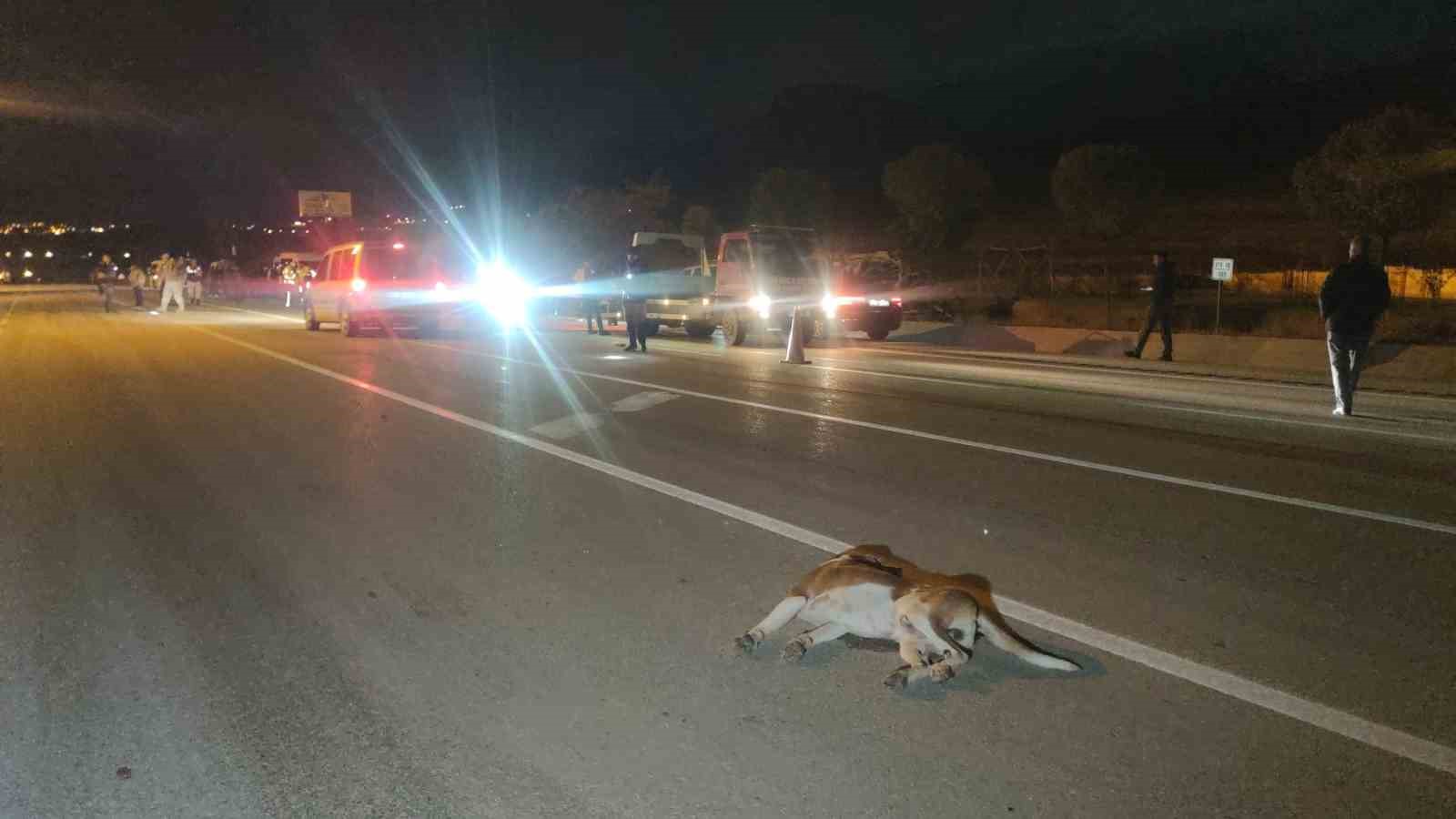 Van’da zincirleme kaza: 8 kişi yaralandı