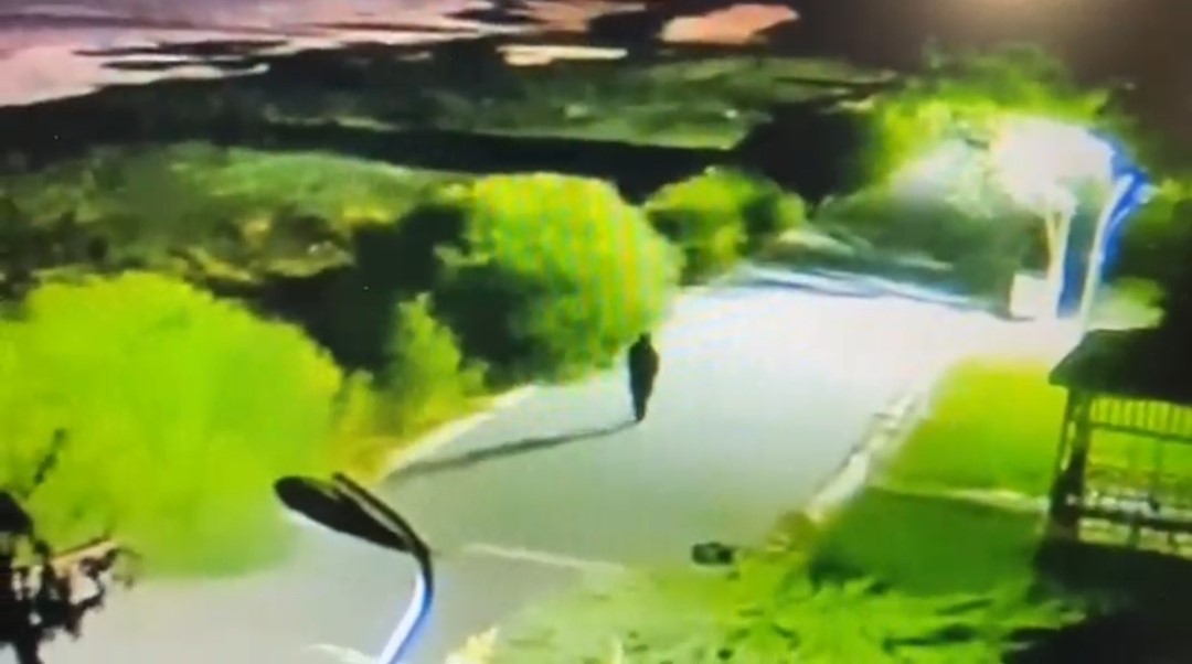 Van’da kaybolan Rojin Kabaiş’in  son görüntüleri ortaya çıktı