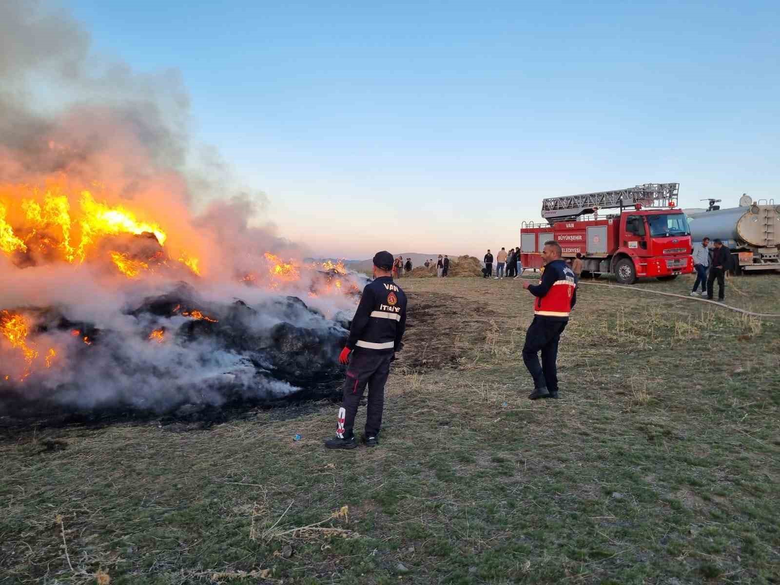 Vanın Çaldıran ilçesinde 9 bin bağ ot yandı
