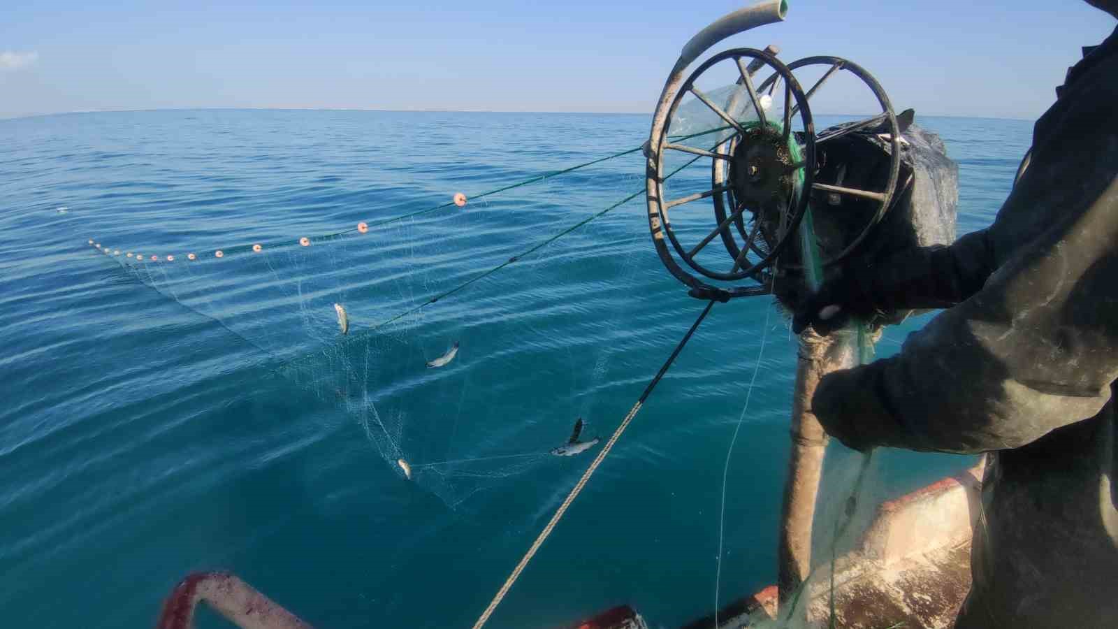 Vanlı  balıkçılar yeni sezondan umutlu