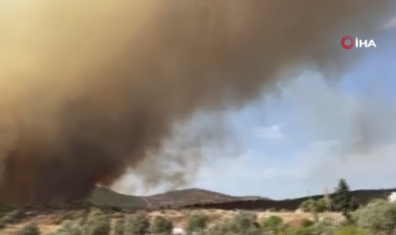 İzmir Foça’da korkutan yangın