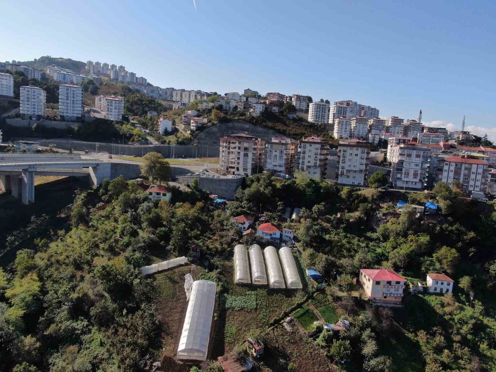 Apartmanlar arasında organik tarım yapıyorlar