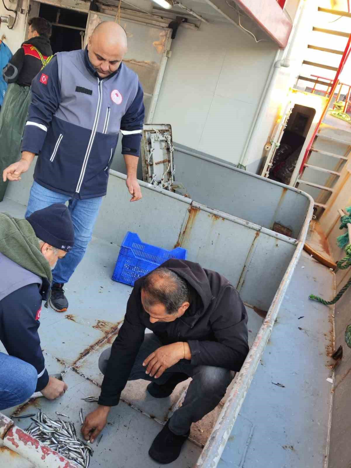 40 ton hamsiye el konuldu