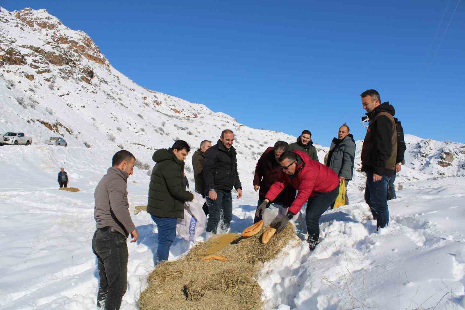 Yaban hayatını unutmadılar