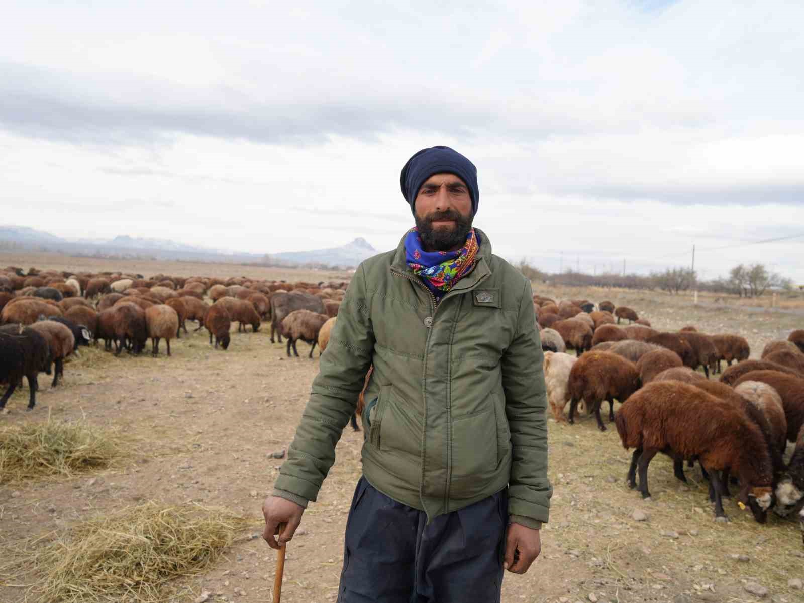 8 aylık hasret bitti: Sürüler Iğdır’a geri döndü