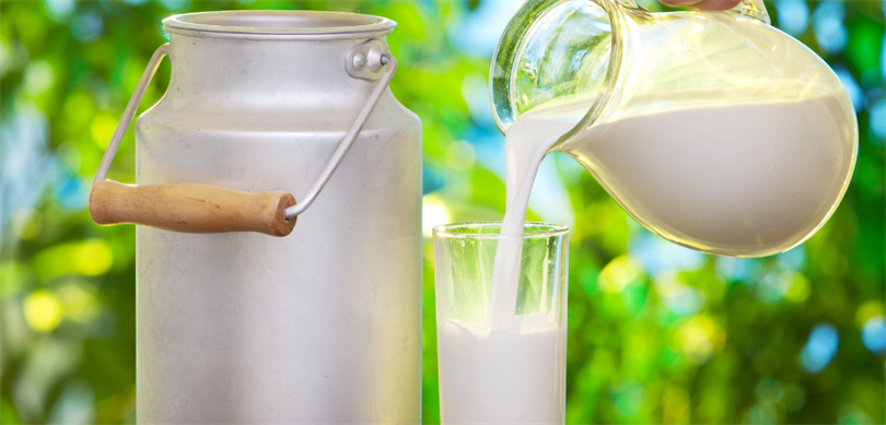 Çiğ süt primi litre başına 1 lira olarak uygulanacak