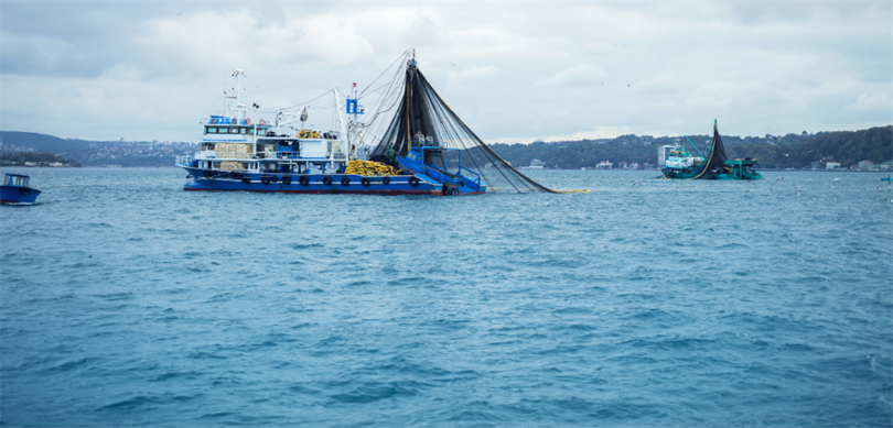 Fao Akdeniz Genel Balıkçılık Komisyonu’ndan (Gfcm) Türkiye’ye 4. Kez “Tam Uyum Ödülü”