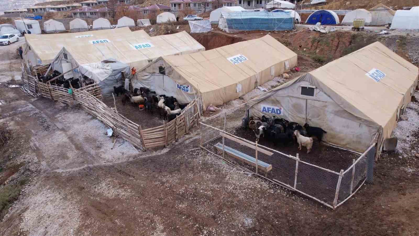 Hayvanlar için ahır kent kuruldu