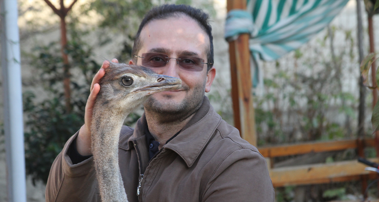  İlginç alışveriş: Cep telefonuyla takaslı deve kuşu