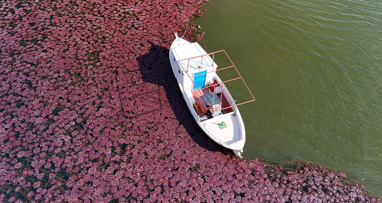 Terkos Gölü’nde sonbahar manzarası hayran bırakıyor
