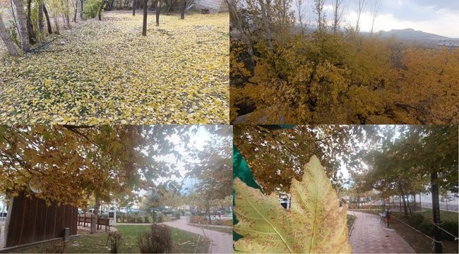 Van sonbaharın renkleri ile örtündü