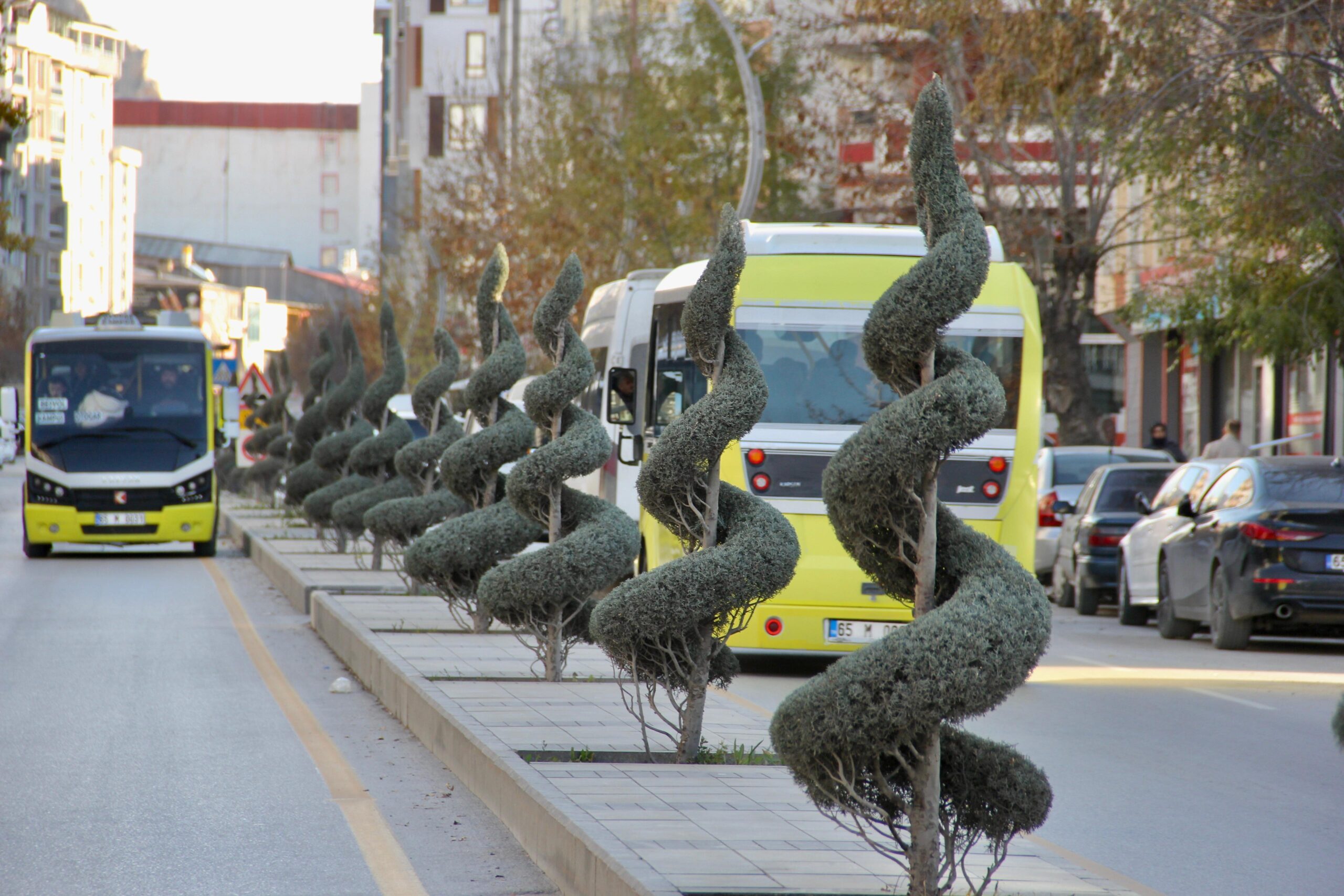 Van’da yapılan dekoratif budama şehrin çehresini değiştirdi